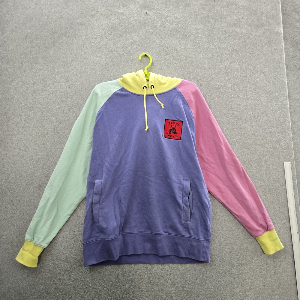 Teddy Fresh Men Hoodie L Purple Embroidered Colorblock Fleece Bear READ